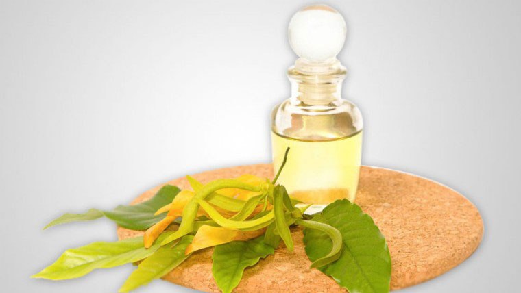 Cananga oil