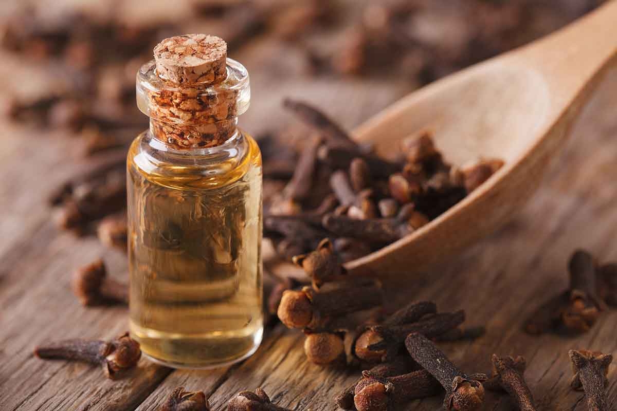 Clove oil