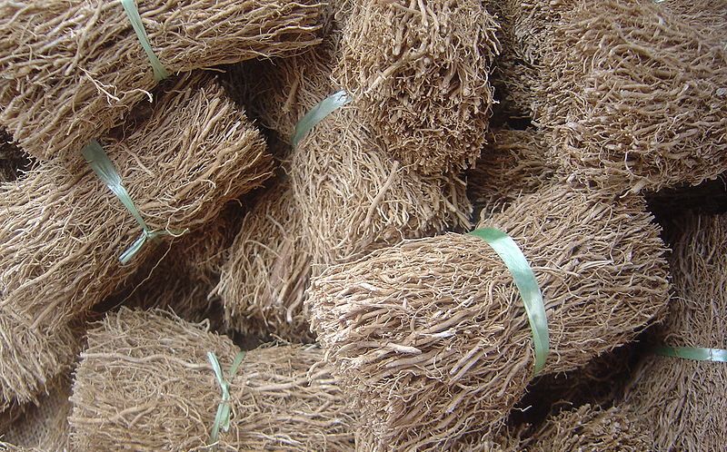 Vetiver oil